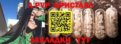 мяу мяу мука Моздок